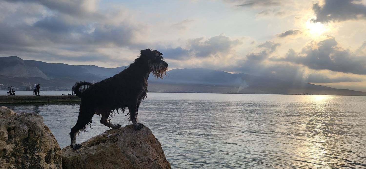 Photo #11712591