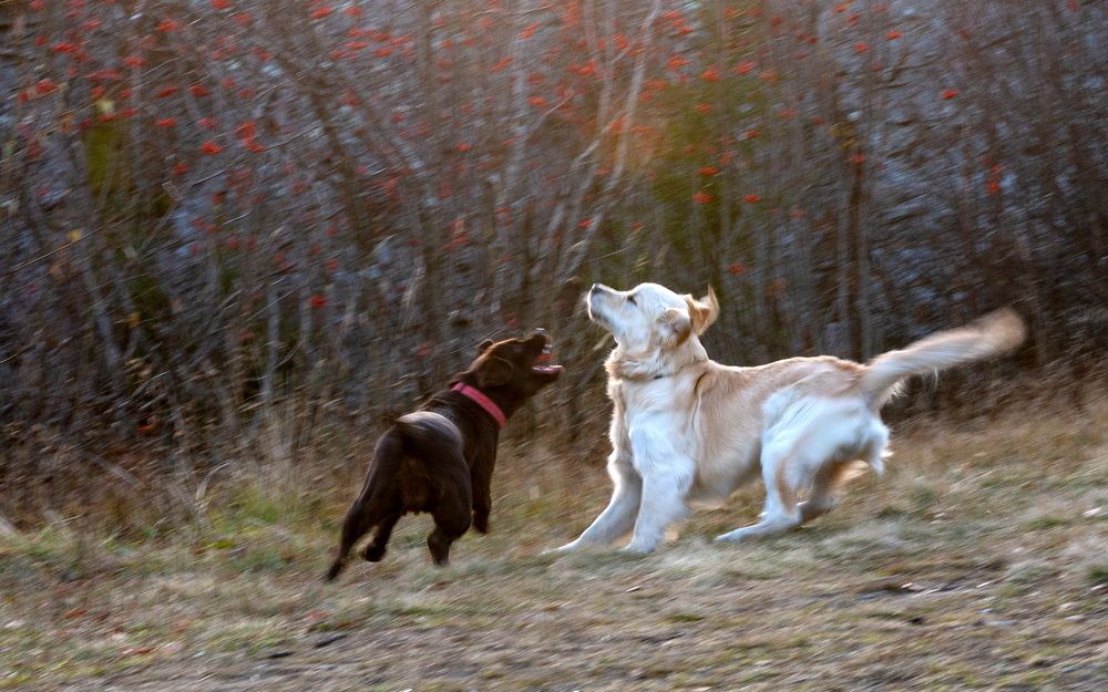 Photograph by Юрий Горяной