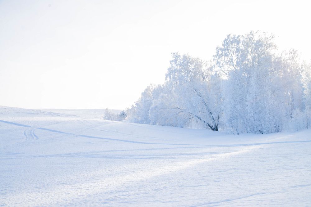 Photograph by Наталья Лещинская
