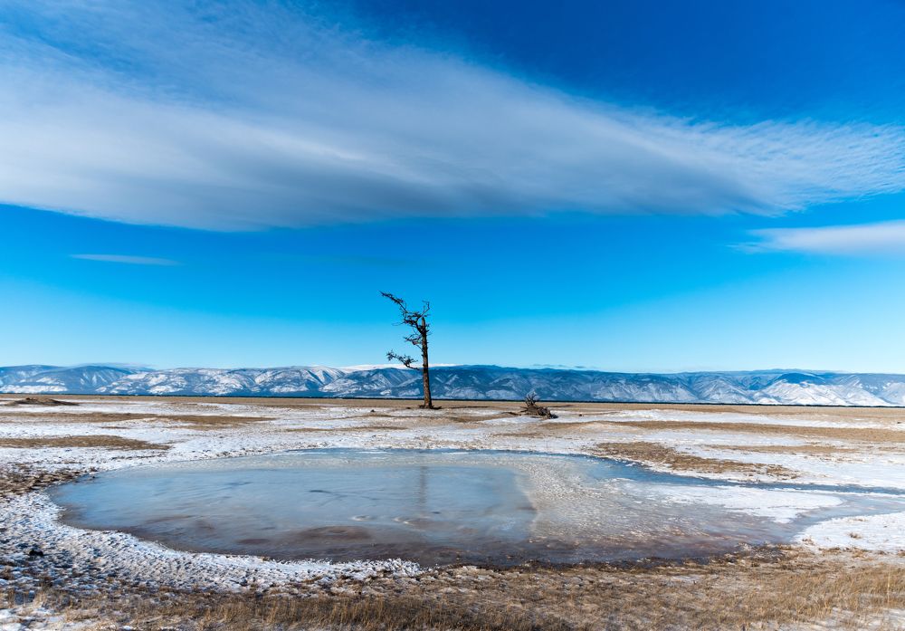 Photograph by Марина Корреа Ластра