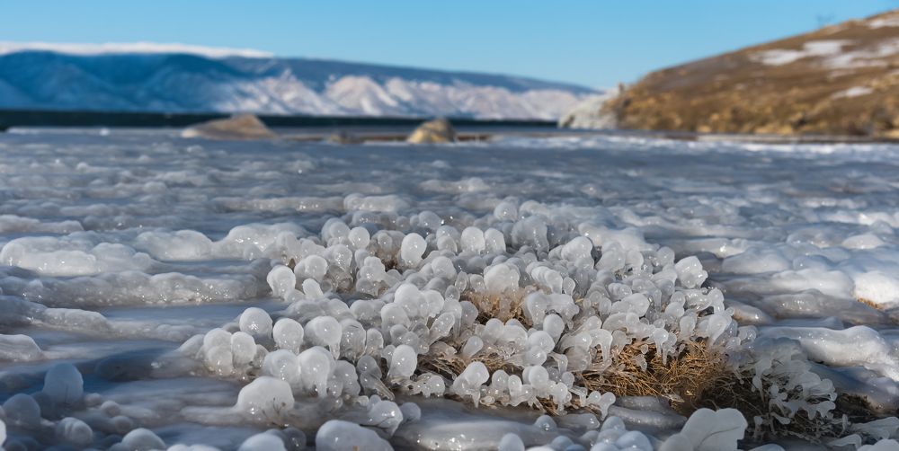 Photograph by Марина Корреа Ластра