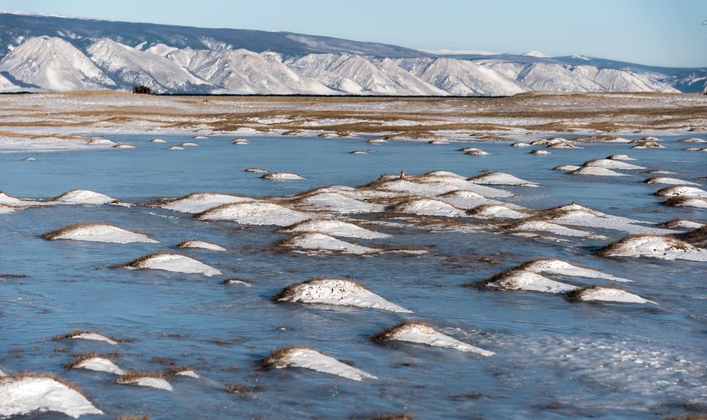 Photograph by Марина Корреа Ластра