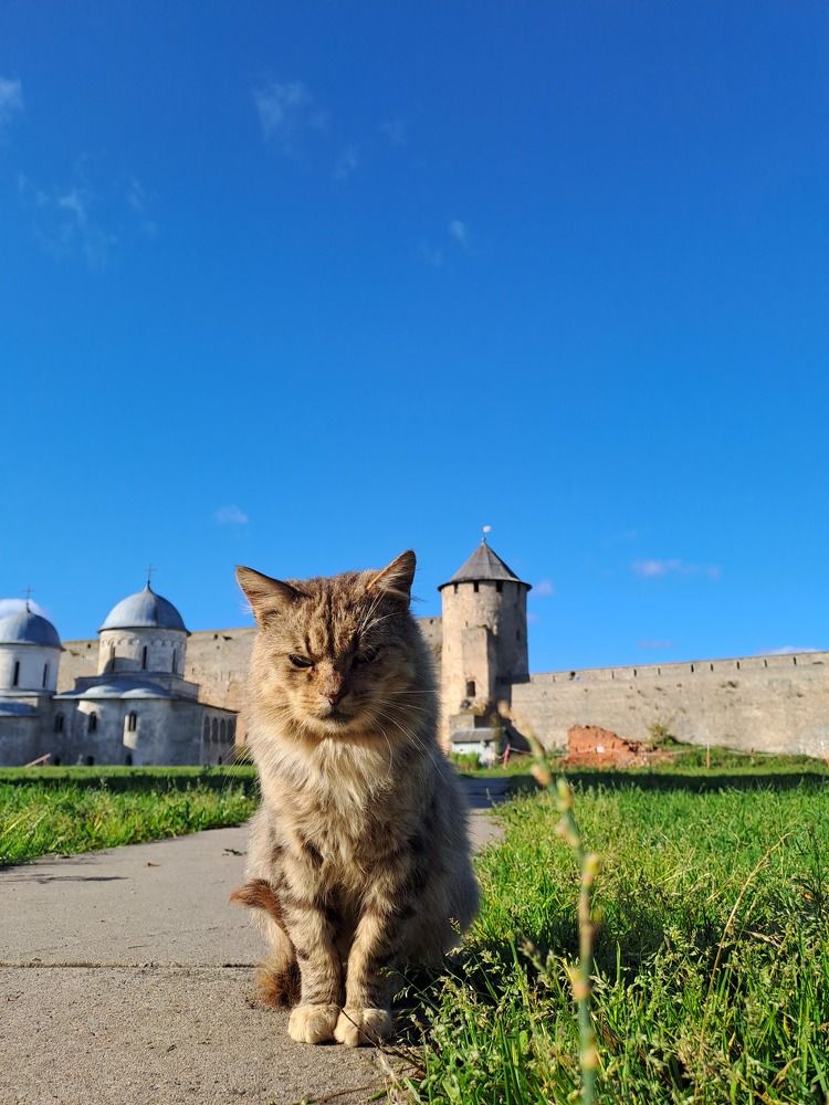 Photograph by Ирина Савельева