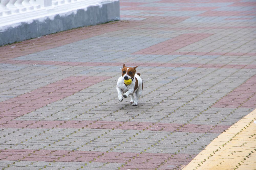 Photograph by Христина Сергейчик