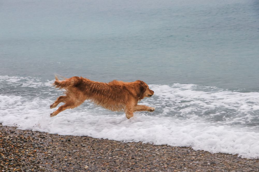 Photograph by Христина Сергейчик