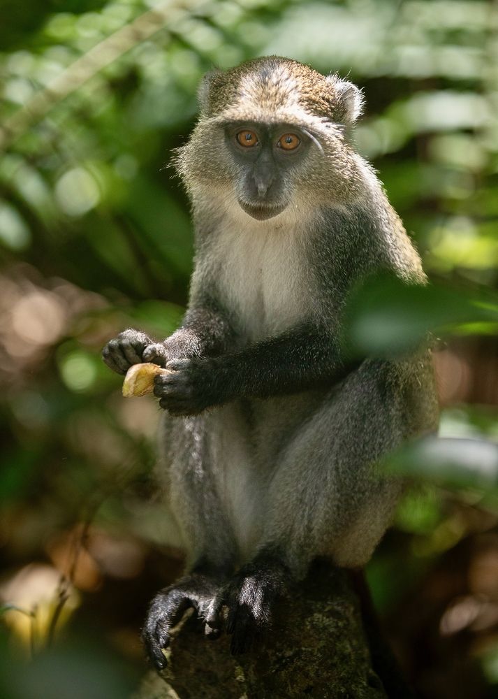 Photograph by Епишенкова Ксения