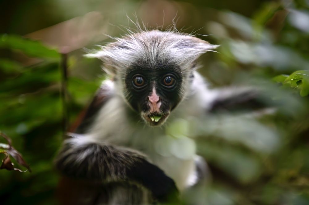 Photograph by Епишенкова Ксения