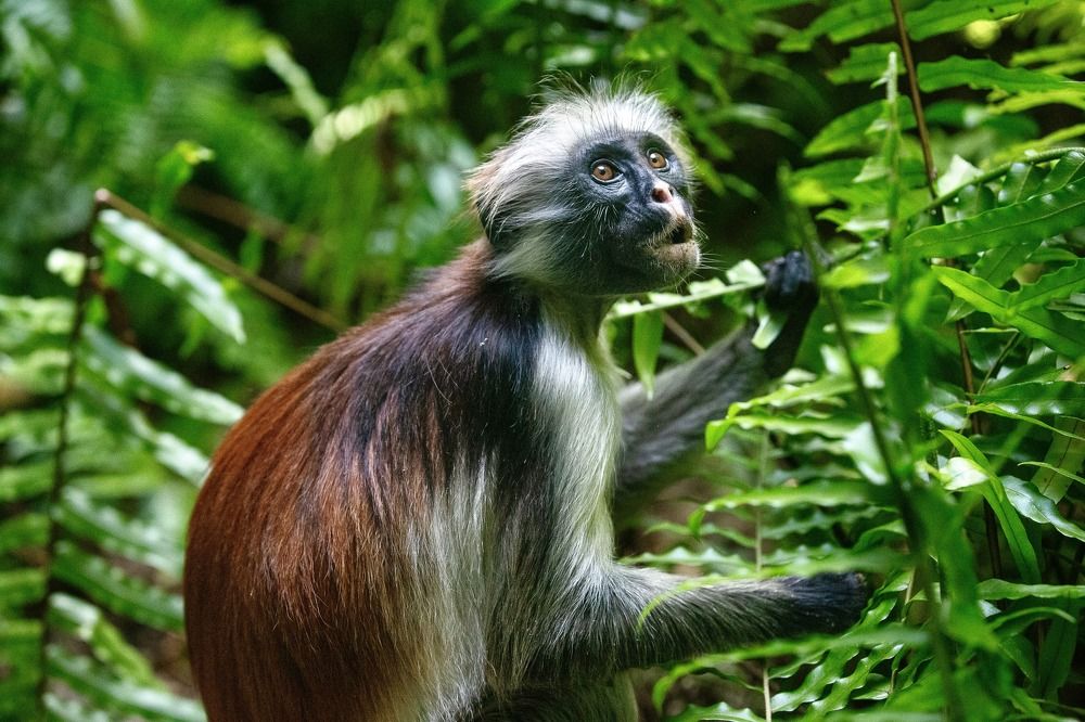 Photograph by Епишенкова Ксения