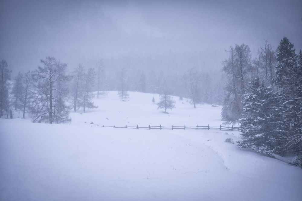 Photograph by 李长丰