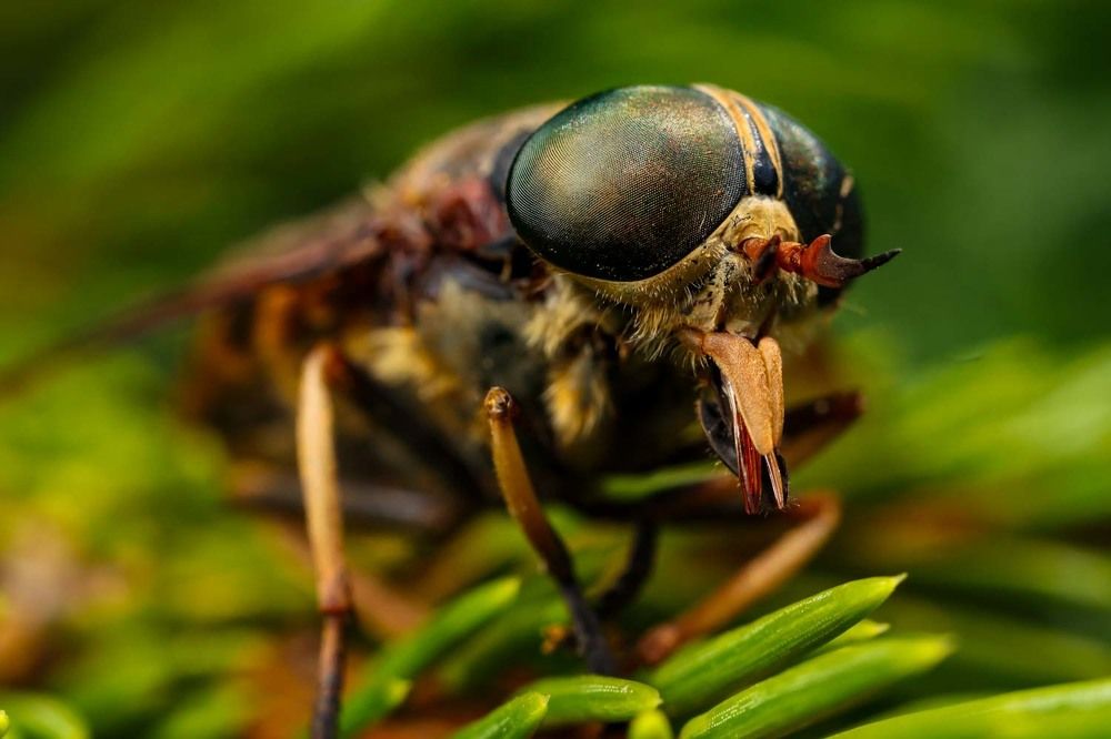 Photograph by Сергей Назаредский
