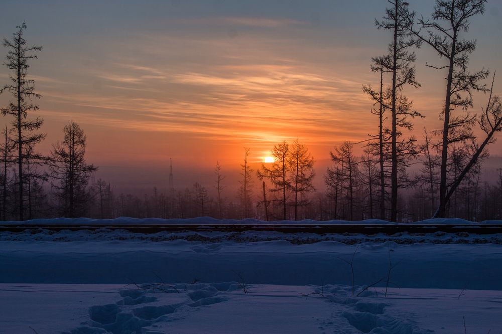 Photograph by Михаил Мархинин