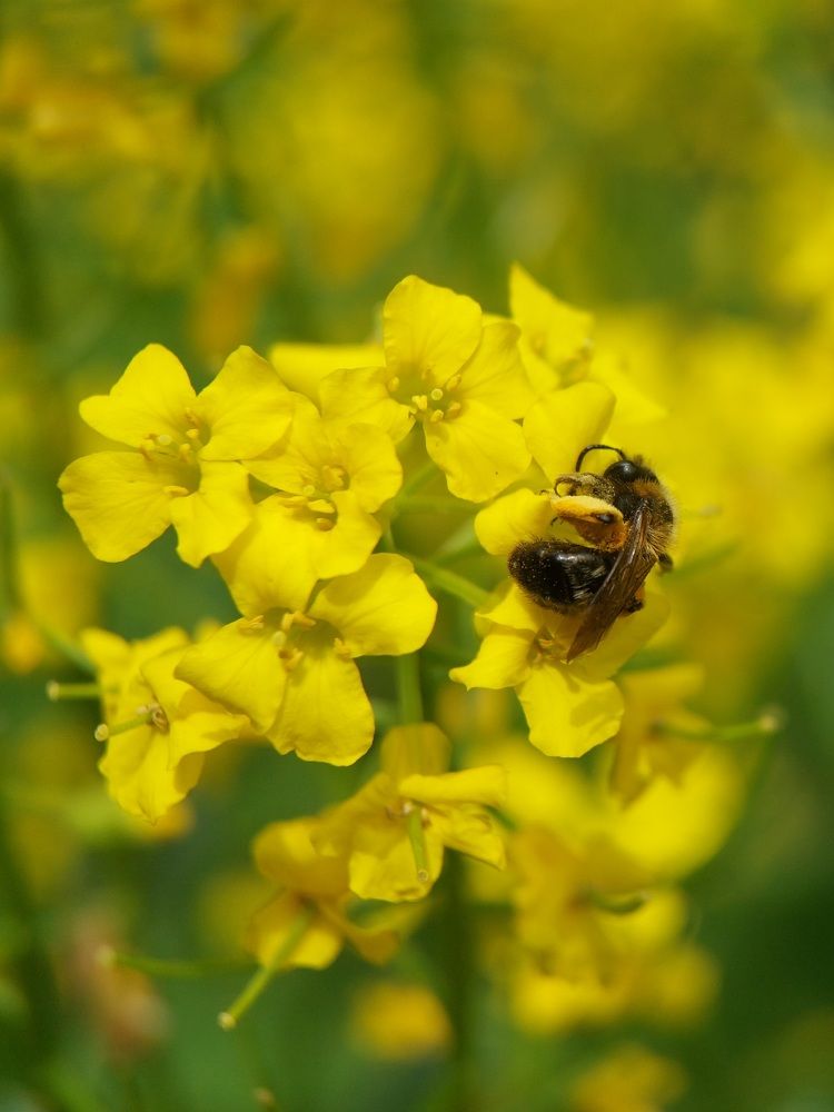 Photograph by Данила Черезов