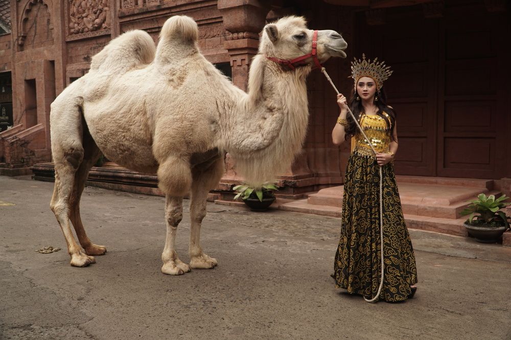 Photograph by Chilmi Muhammad