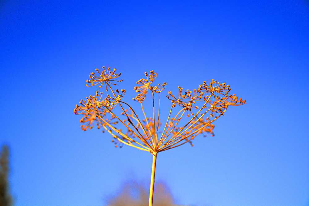 Photograph by Олег Хамуев