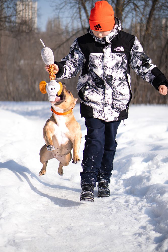 Photograph by Диана