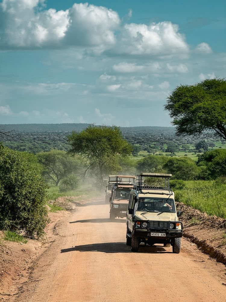 Фотография автора Андрей Болотин