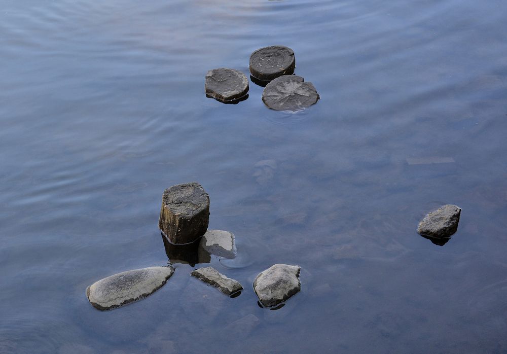 Photograph by Андрей Савицкий