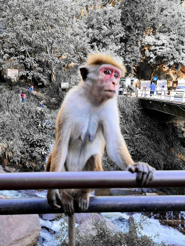 Photograph by Сергей Берез