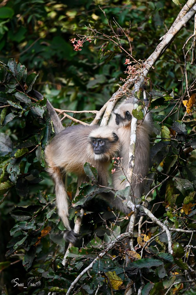 Photograph by shahil shaik