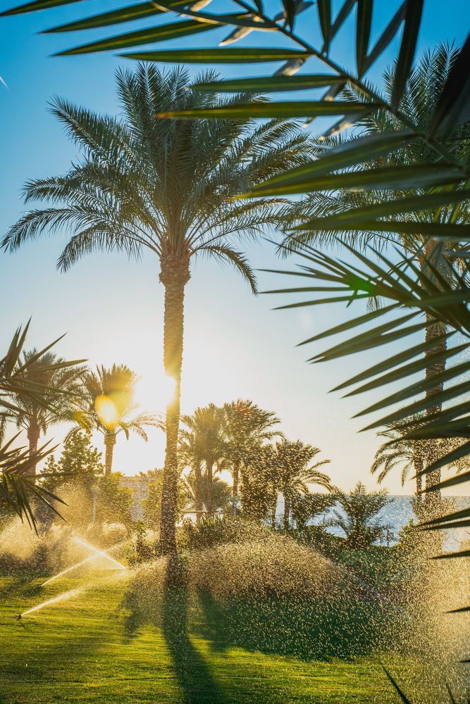 Photograph by Максим