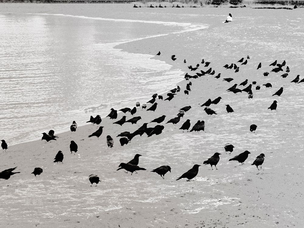 Photograph by Yana Bobrova