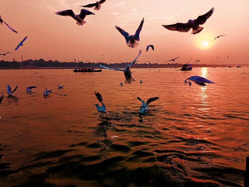 Фотография автора Tejas gabhane