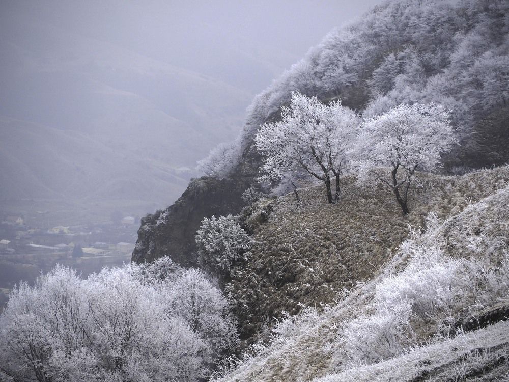 Photograph by Лейла Свекольникова