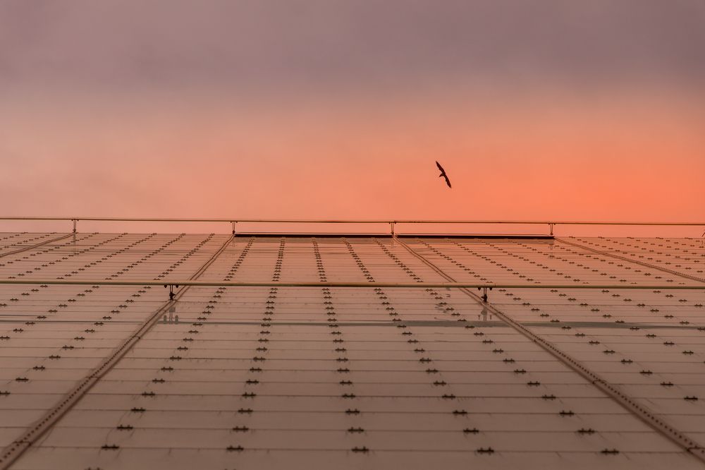 Photograph by Buket Demirel