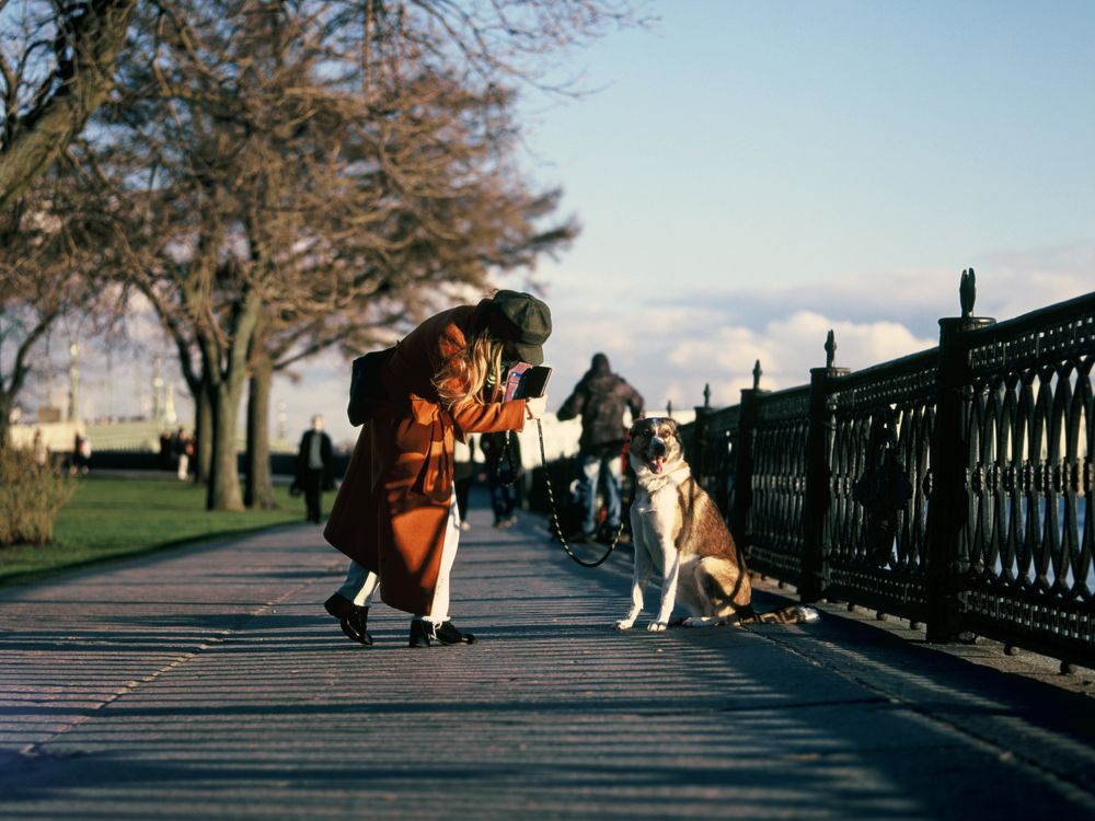 Photograph by Геннадий Балабонов