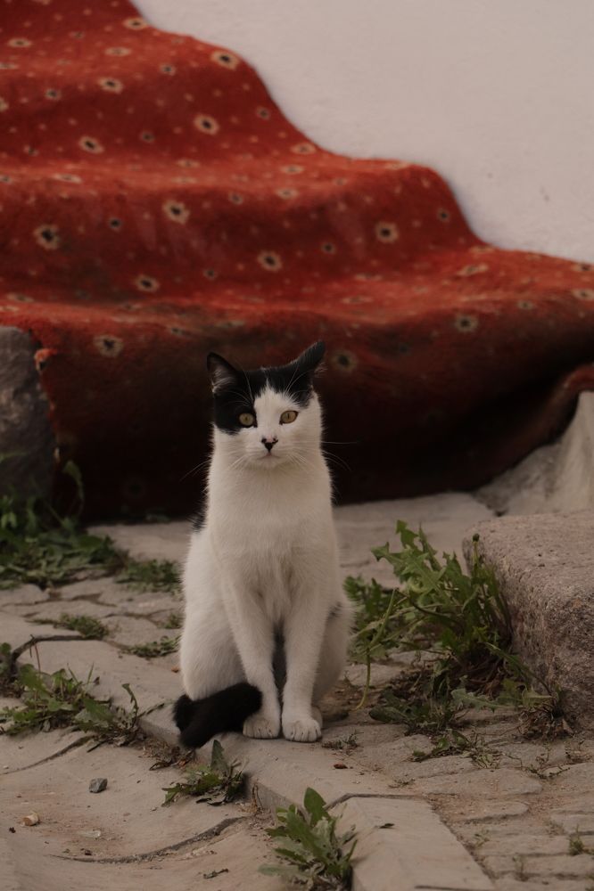 Photograph by Buket Demirel