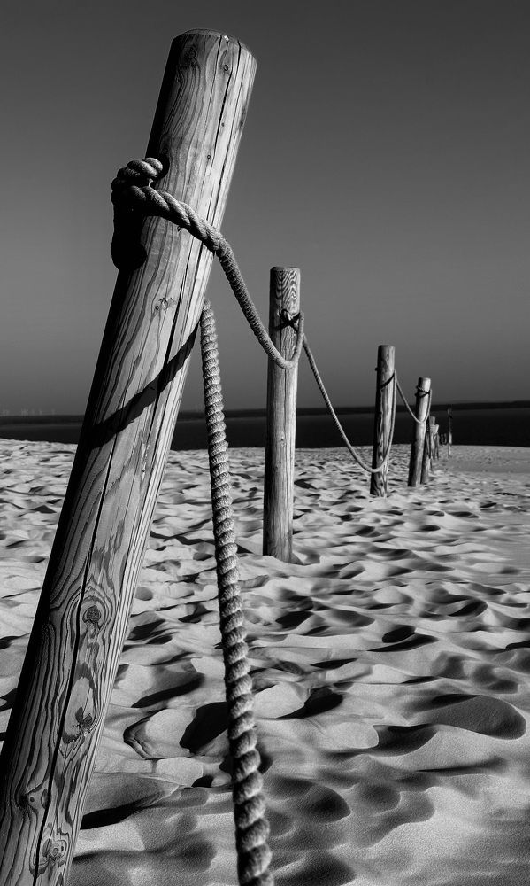 Фотография автора Svetlana Siniakova