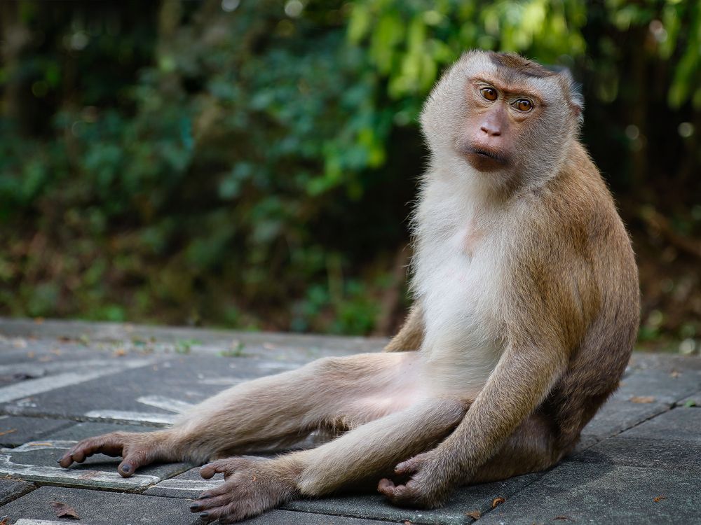 Photograph by Ekaterina Slepneva