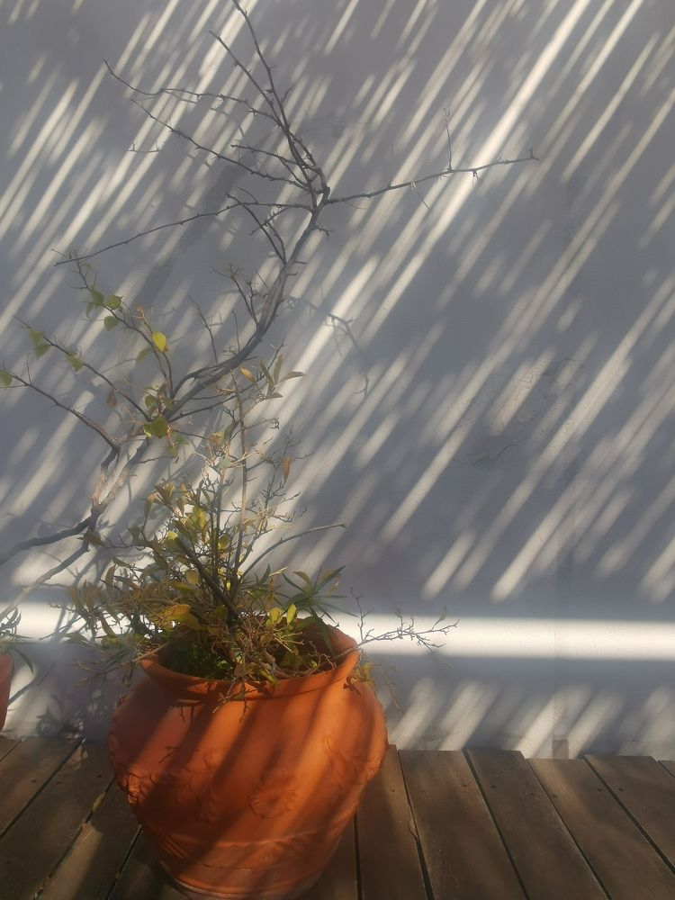 Photograph by alain el feghaly