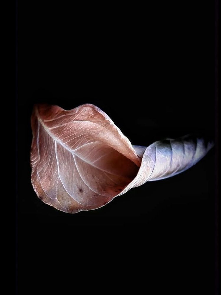 Photograph by Polina Svirida