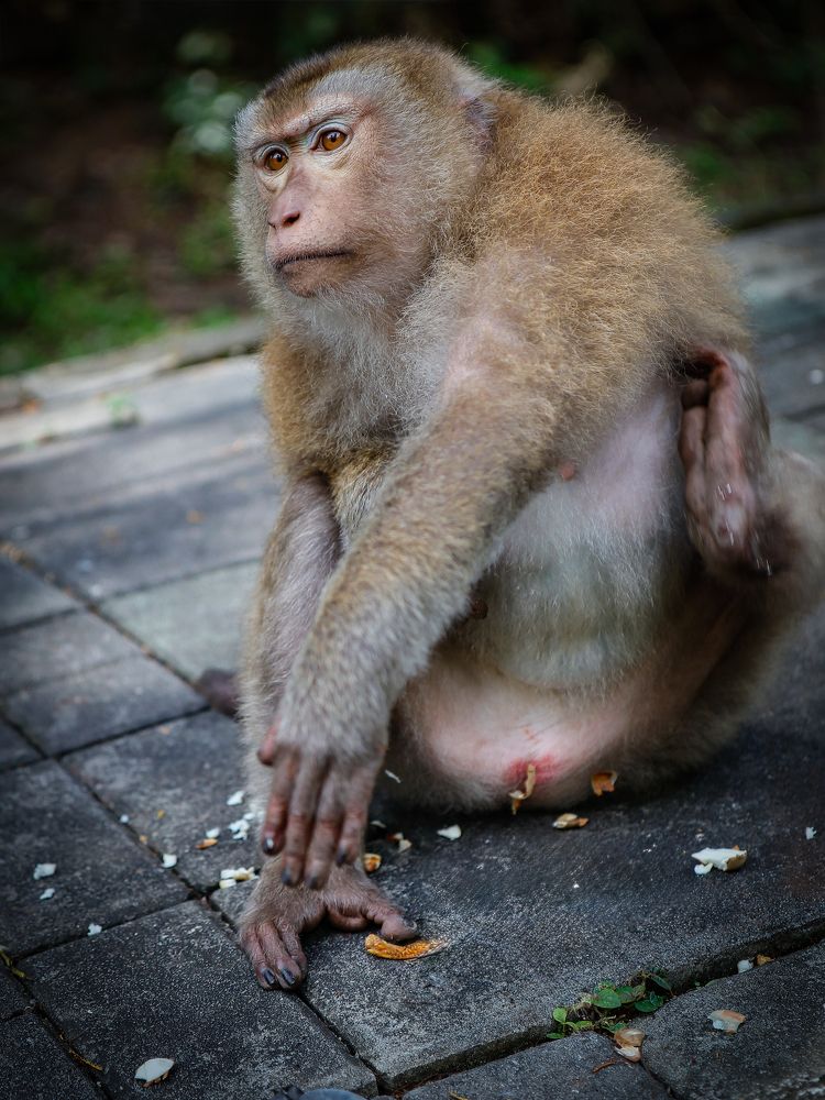 Photograph by Ekaterina Slepneva