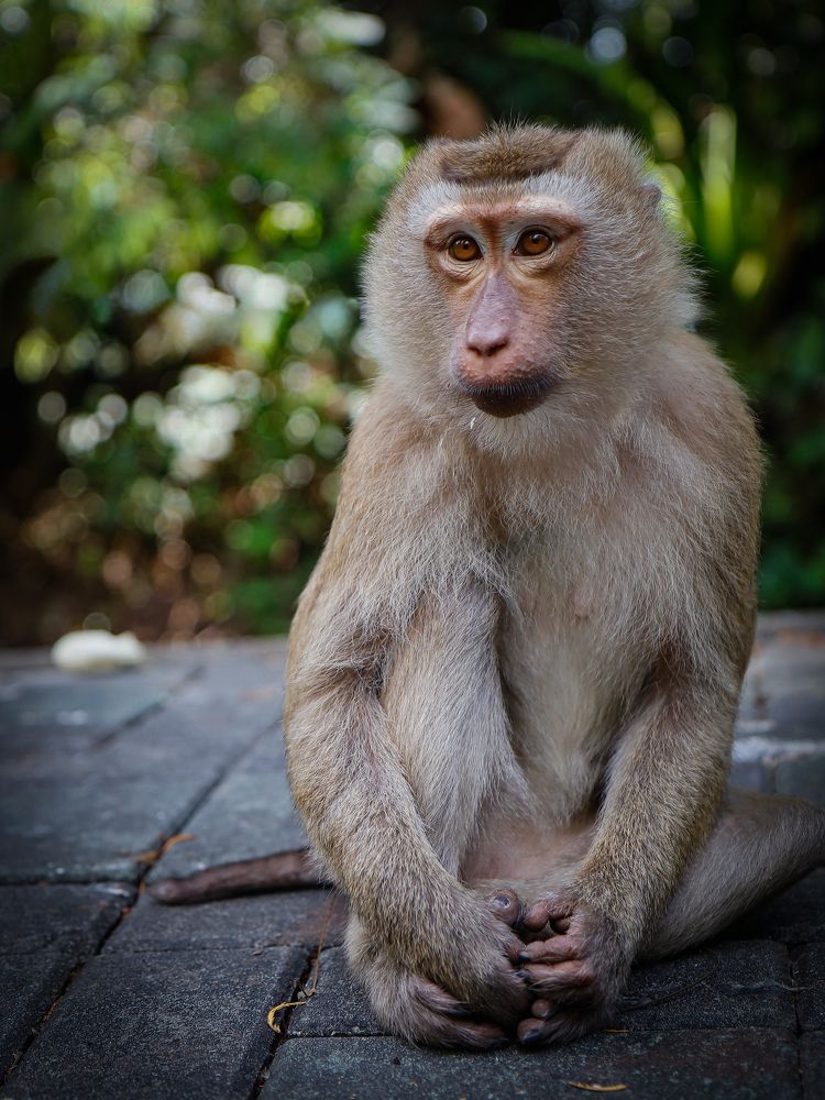 Photograph by Ekaterina Slepneva