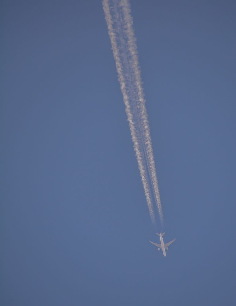 Photograph by Ольга Андронова