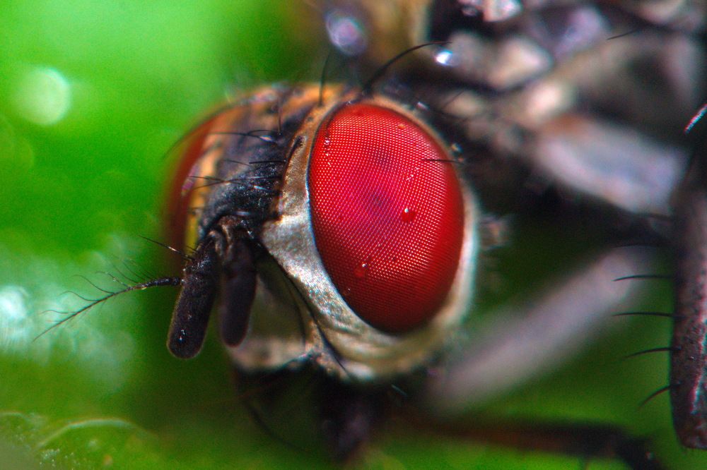 Photograph by Сергей Булат