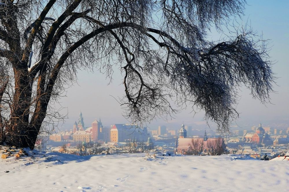 Photograph by Paulina Michałowska