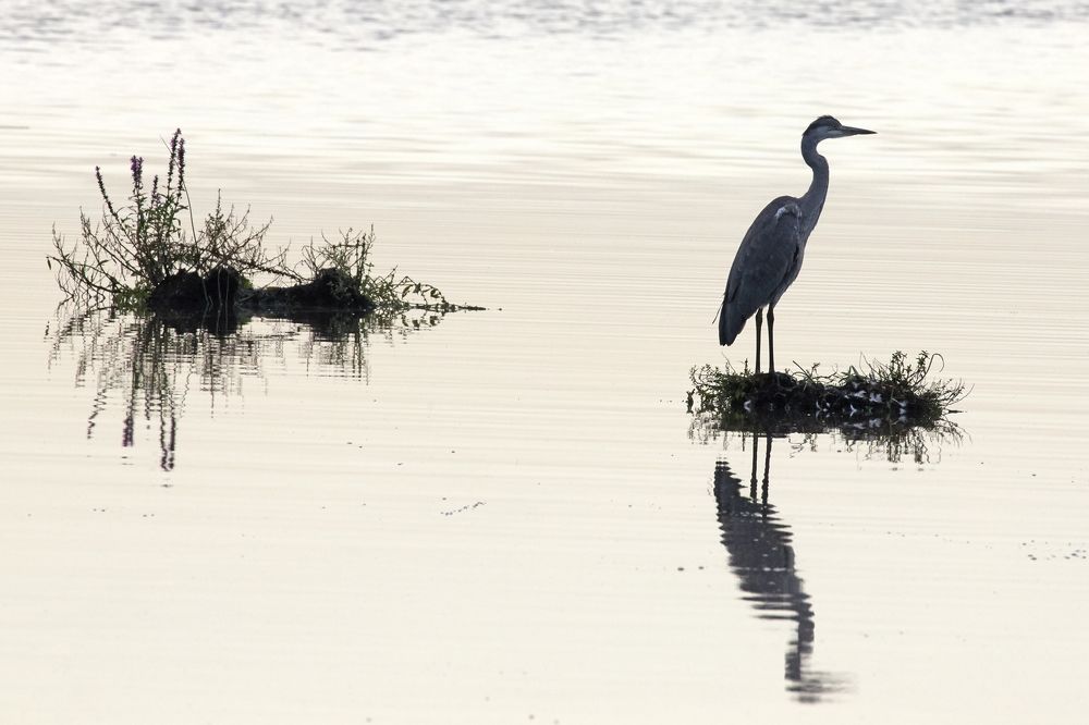 Фотография автора Владимир Борисов