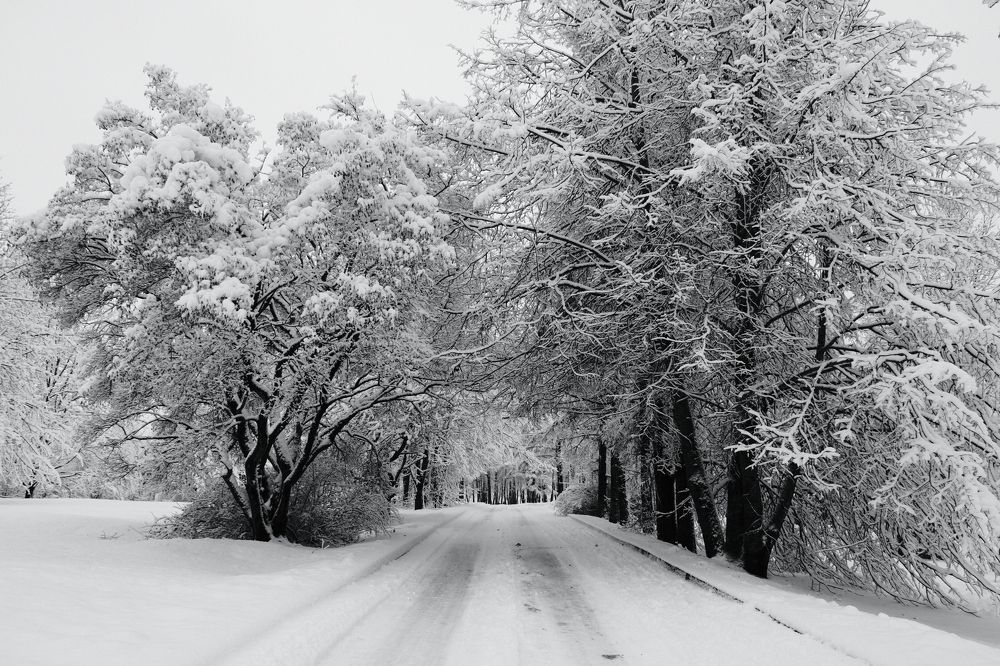 Photograph by Андрей Царев