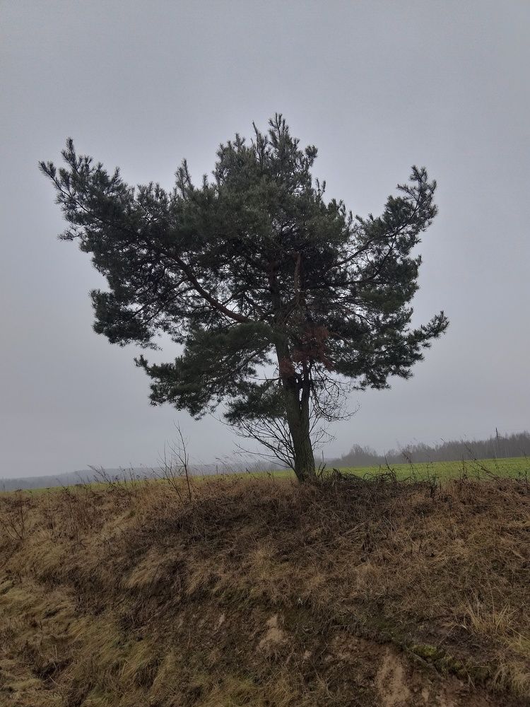 Фотография автора Илья Сергеев
