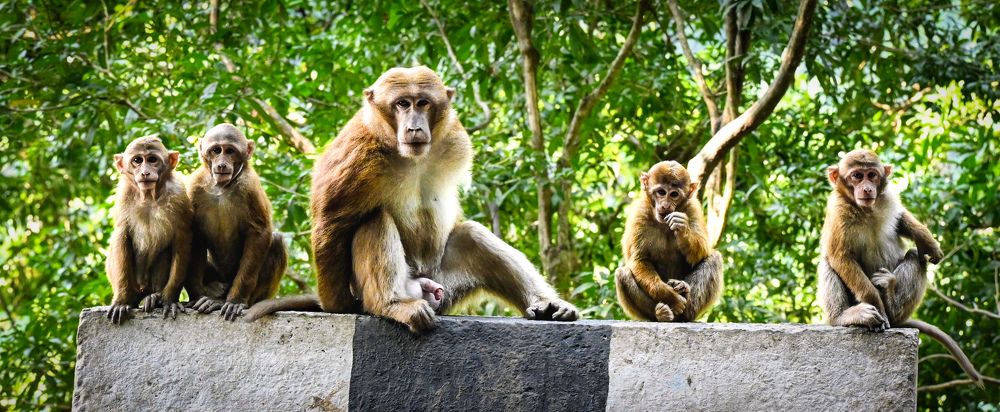 Photograph by Nirup Datta