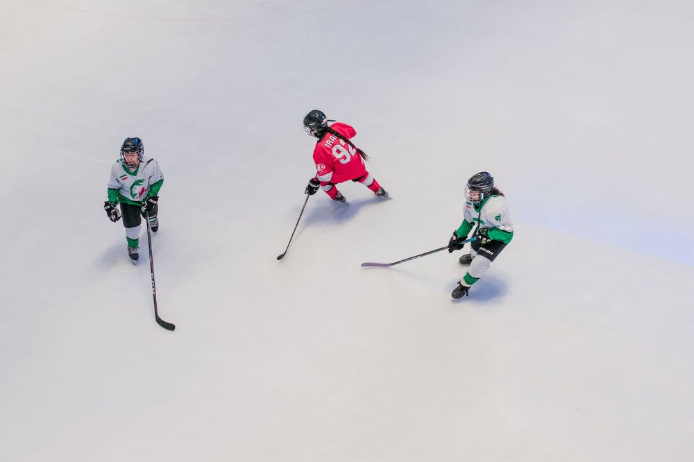 Photograph by Mina Mamdouhi