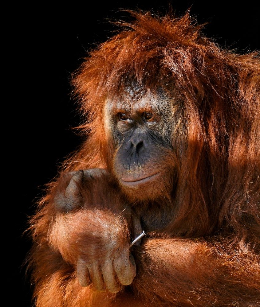 It All Started with a Nail