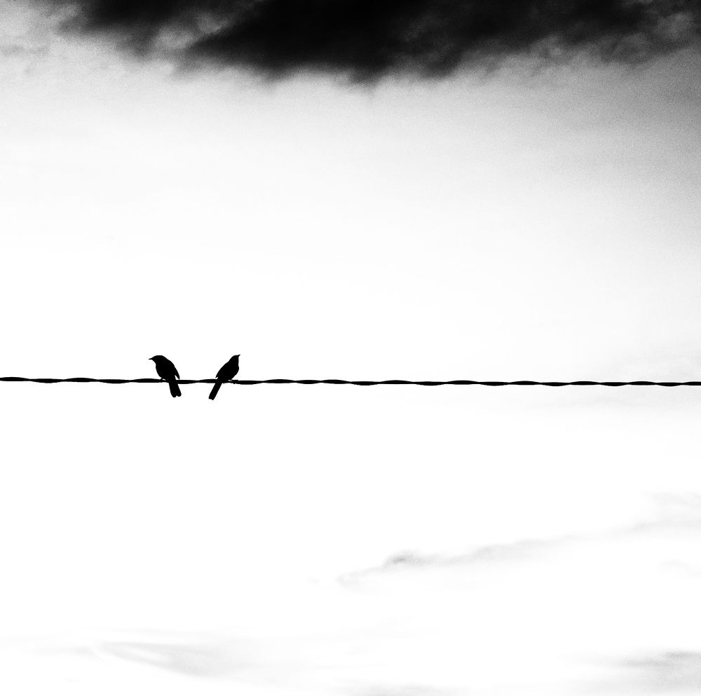 Photograph by prashant bamnawat