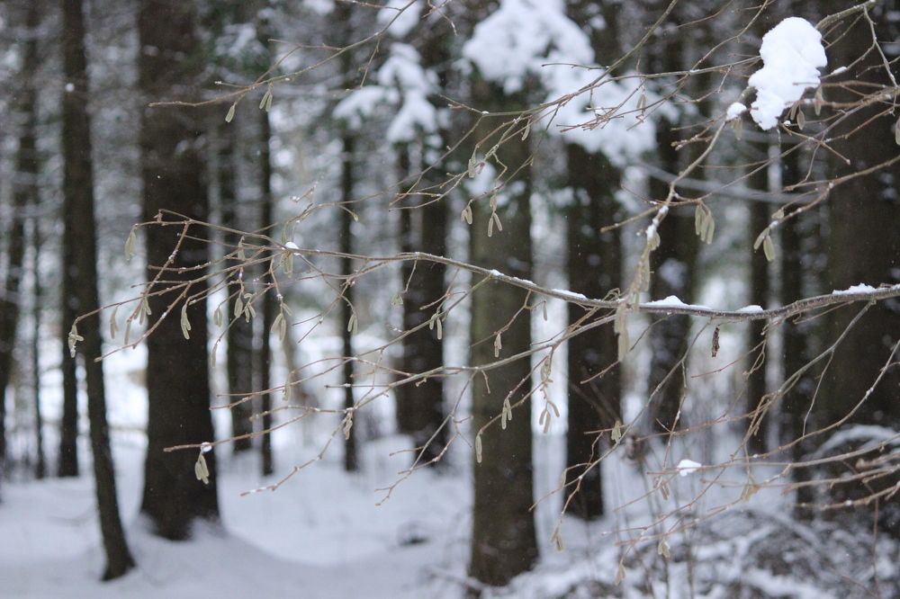 Photograph by Екатерина Александровна