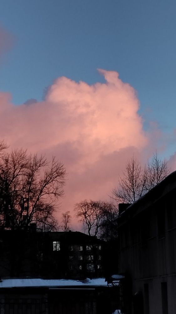 Photograph by Елена Малкова