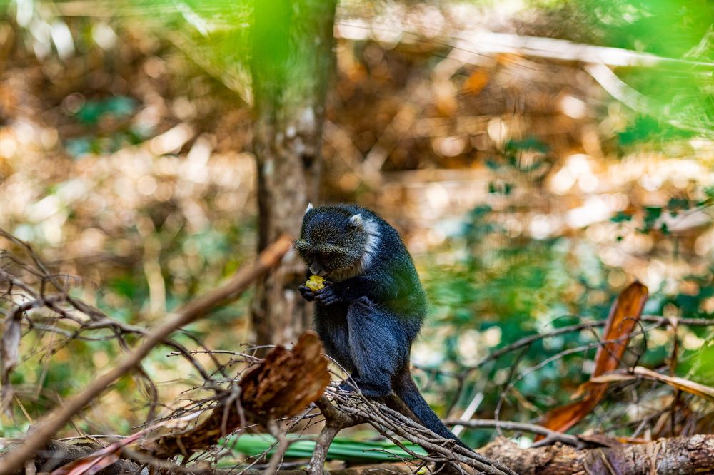 Photograph by Trivet Antony