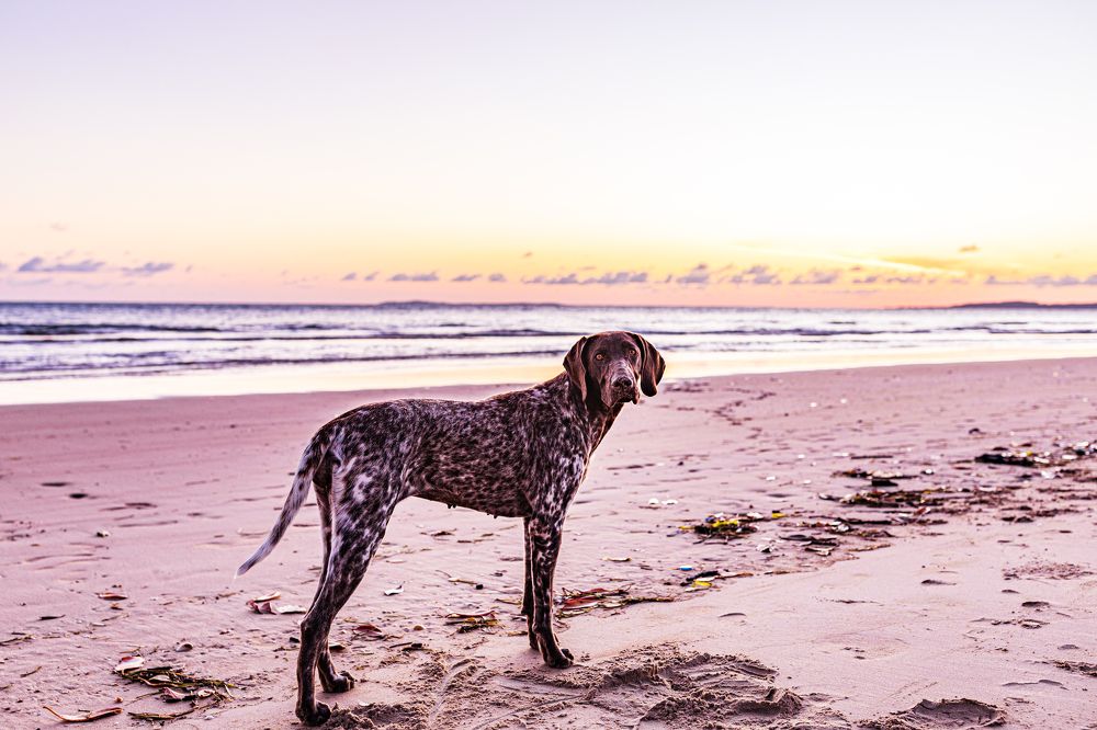 Photograph by Trivet Antony